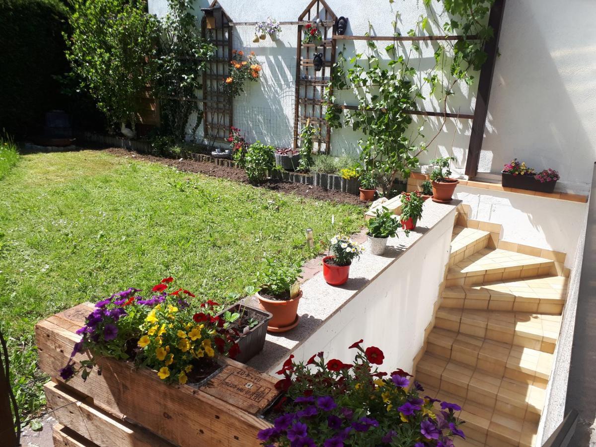 Hostel Bad Salzig Boppard Eksteriør bilde